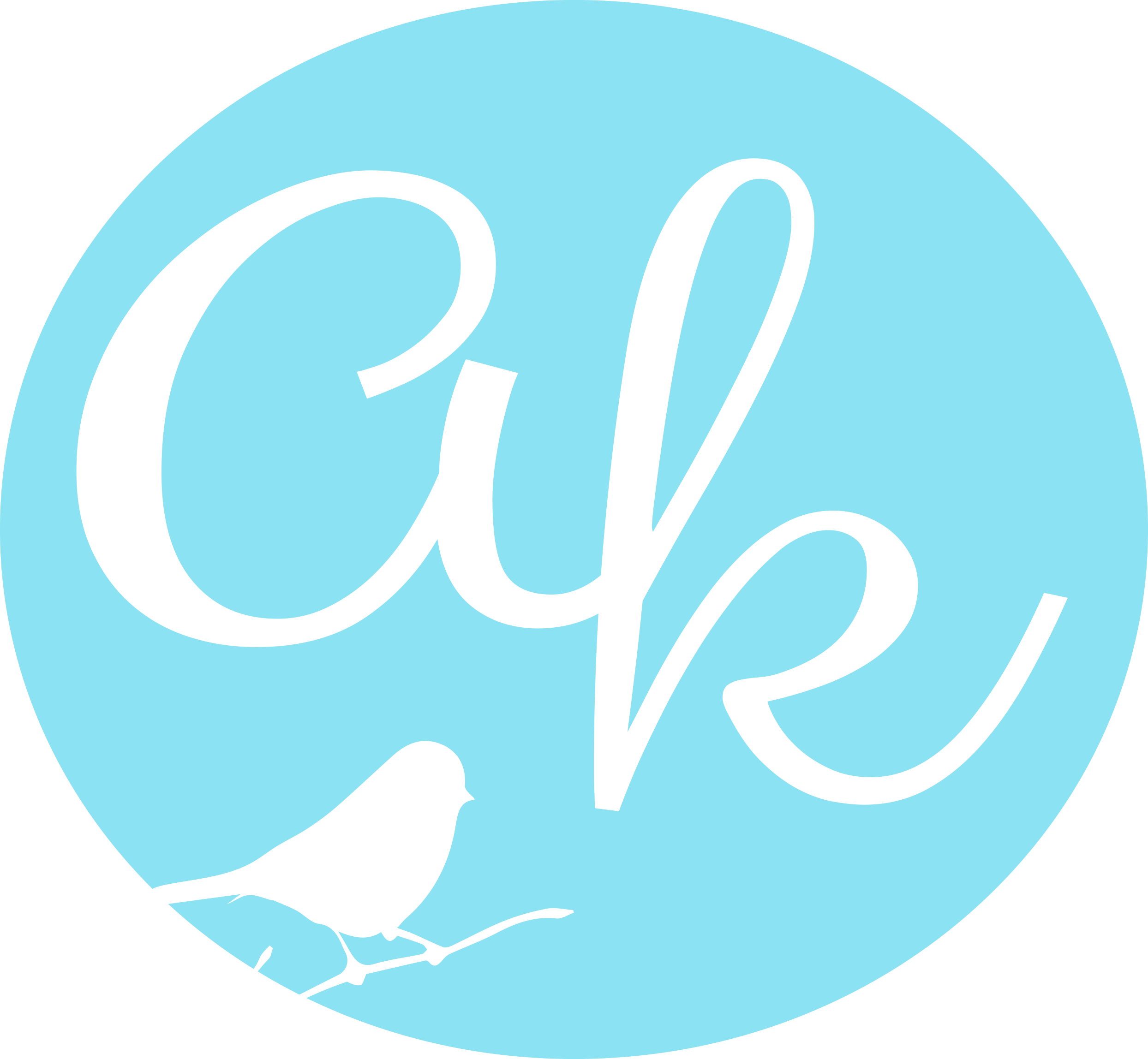 Amy Kate Photography - Png For Ak Photography (2488x2296)