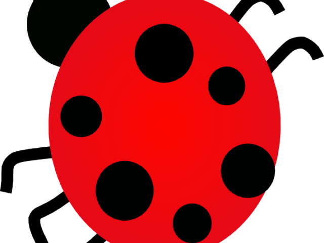Bug Clipart June Bug - Red Object For Preschool (640x480)