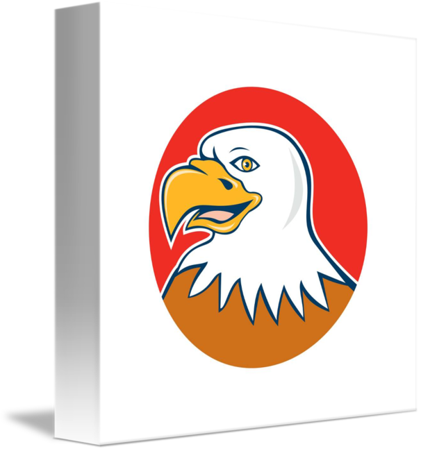 Bald Eagle (606x650)