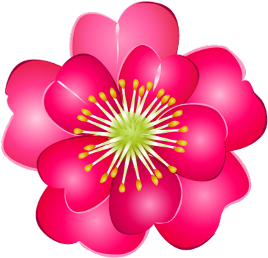 For Download Free Image - Camellia Flower Clip Art (480x480)
