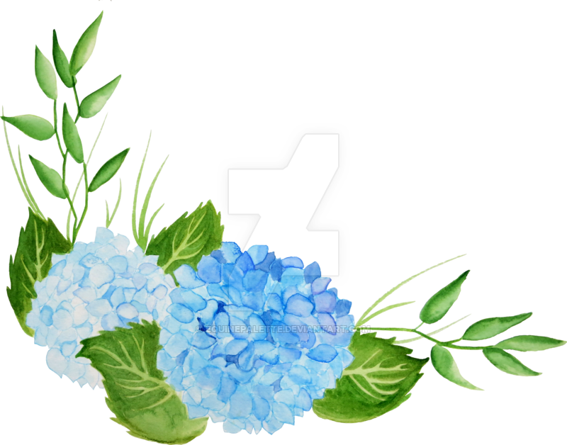Watercolor Blue Hydrangea With Italian Crocus By - Watercolor Blue Flower Png (800x628)