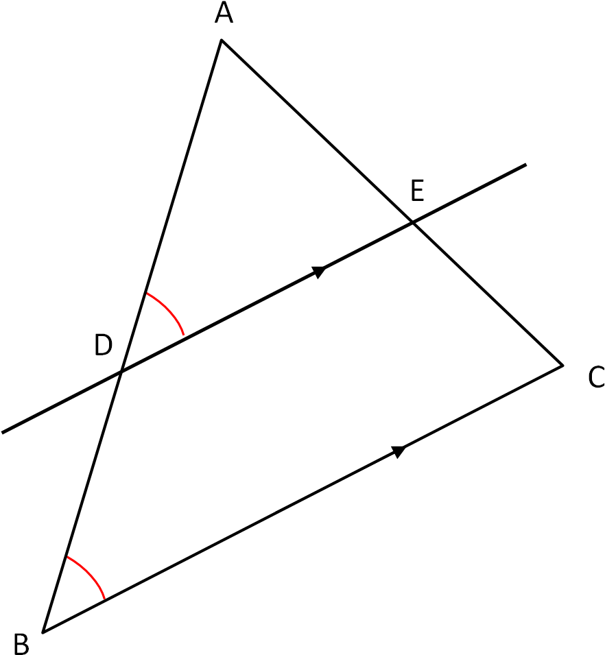 This Is Because The Apex Angle Is In Both Triangle - Triangle (928x1007)