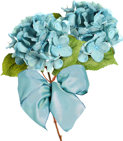 Hydrangeas - Flower (522x600)