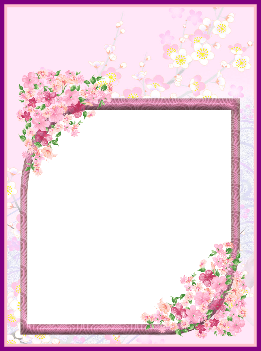 Dove Png Dove Png Transparent Background Stunning Pink - Wednesday Blessings And Prayers (905x1216)