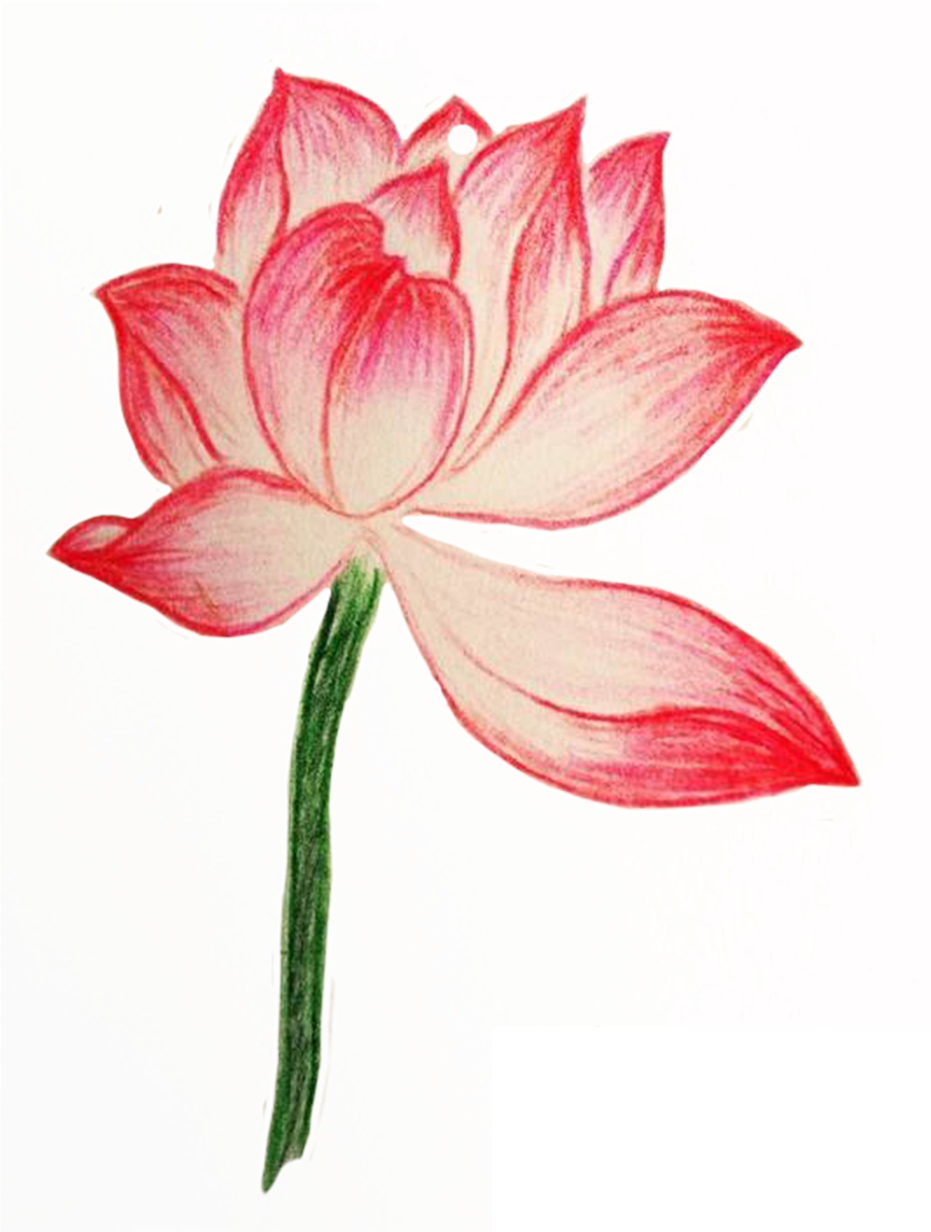 Drawing Painting Colored Pencil - Drawing (3508x2480)