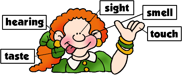 5 Senses On Pinterest - Five Senses Clipart (648x276)