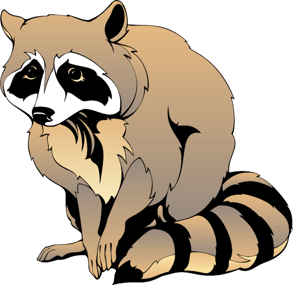 Raccoon Clipart - Alphabet (600x584)