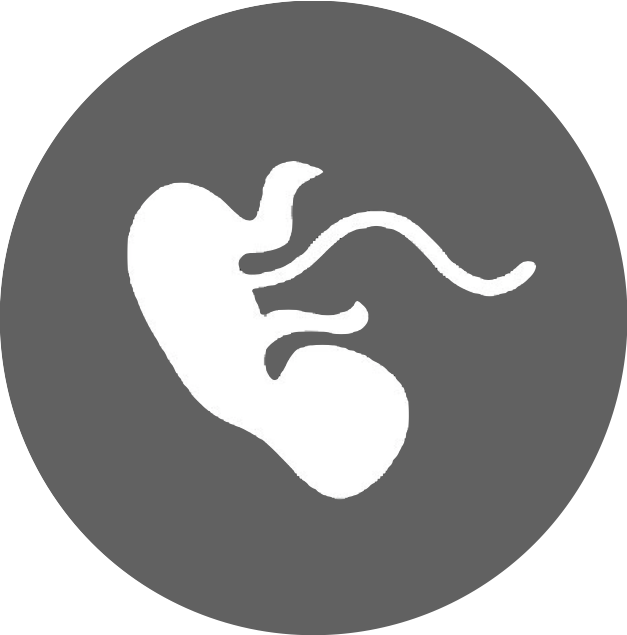 Kidneys & Fluids - Portrait Of A Man (627x635)
