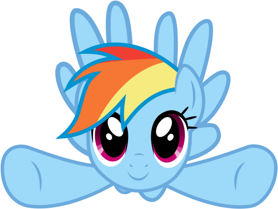 Rainbow Dash Flying Front Veiew By Skythepony123 - Rainbow Dash Flying Front (983x813)