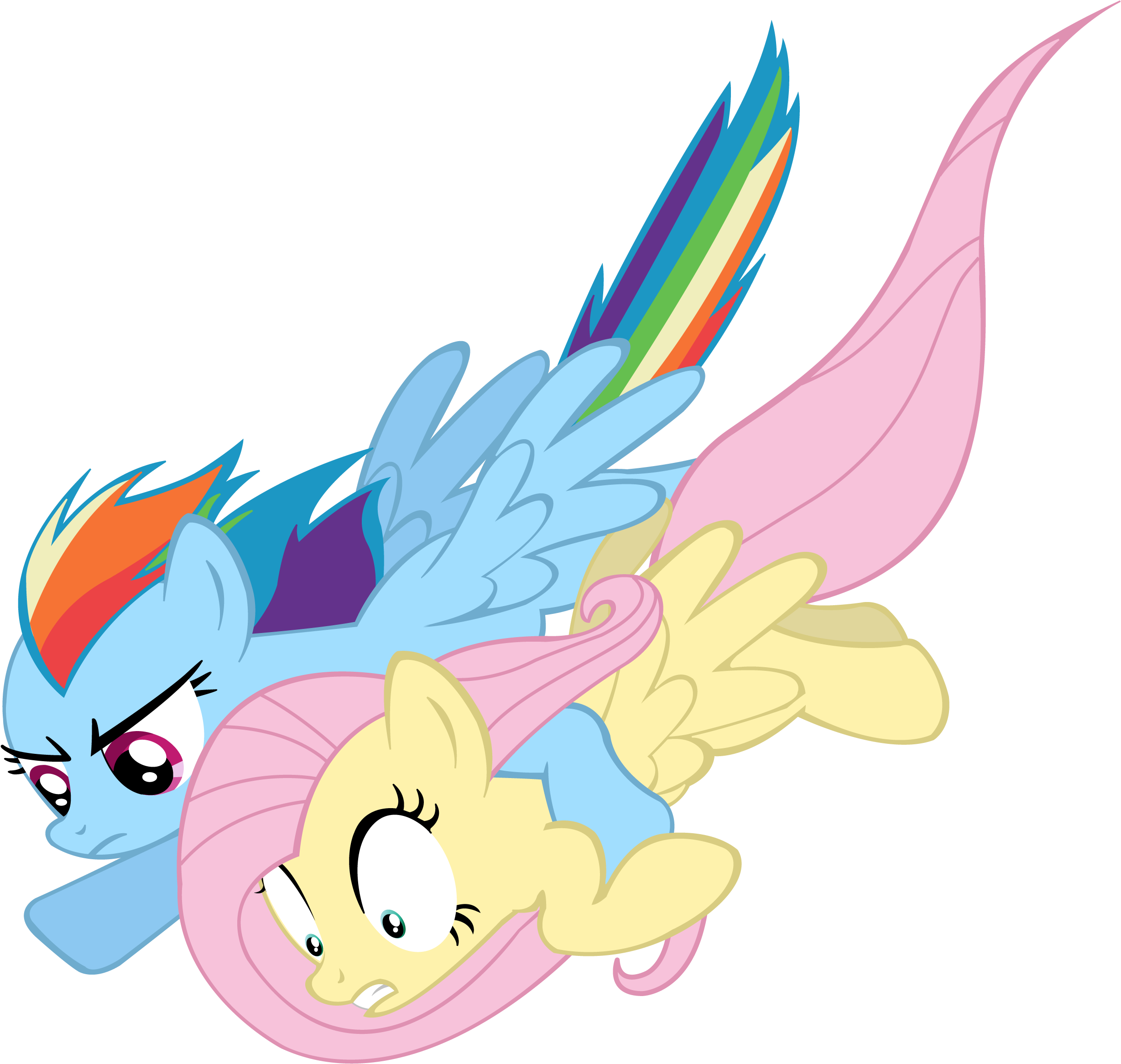 Masterrottweiler Rainbrow Dash And Fluttershy To The - Rainbow Dash And Fluttershy Fly (2875x2592)