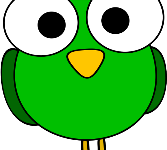 Green Eyes Clipart Large Eye - Birds With Big Eyes Clipart (640x480)