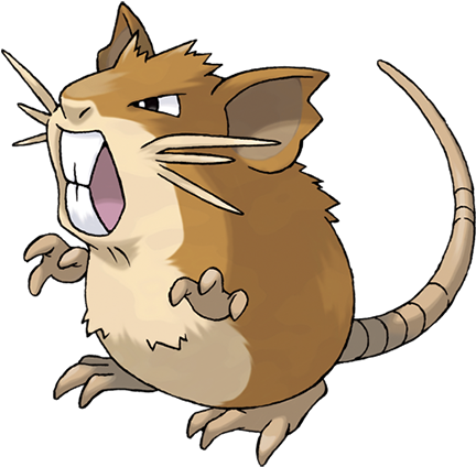 Raticate Alola Form - Rattata Pokemon (475x475)
