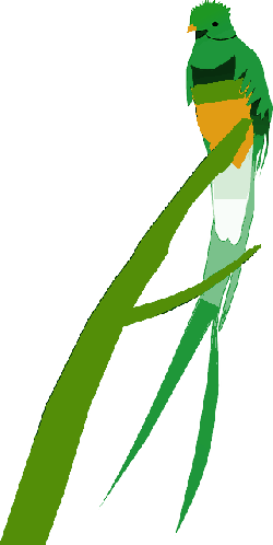 Bird, Parrot, Red, Green, Feathers - Bird (250x498)