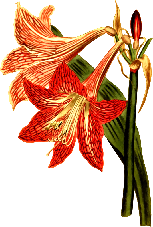 Medium Image - Modern Vintage Winter Ga Square Car Magnet 3" X 3" (536x794)