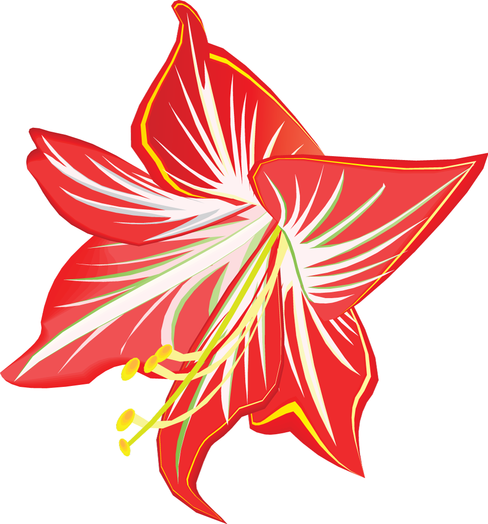 Amaryllis Flower Only - Amaryllis Flower Only (1000x1074)