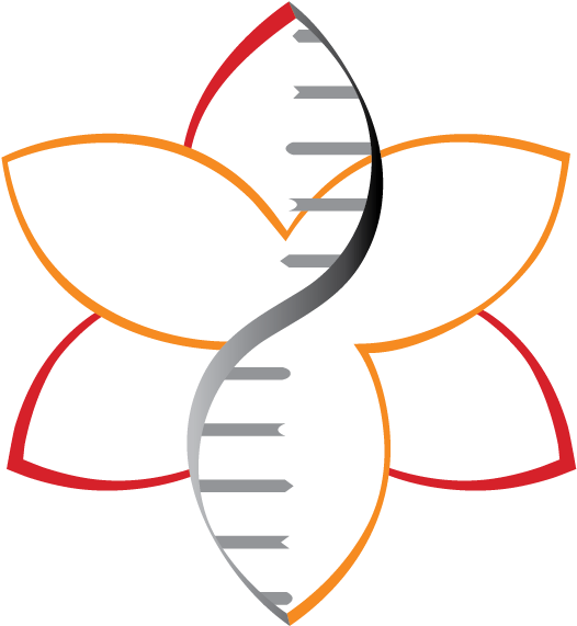 18, Amaryllis Nucleicssan Francisco, California, United - 18, Amaryllis Nucleicssan Francisco, California, United (594x654)