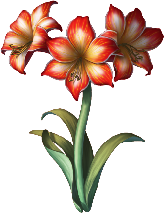 When Purchasing 150 Beads You Will Receive A Master - Lily (450x450)