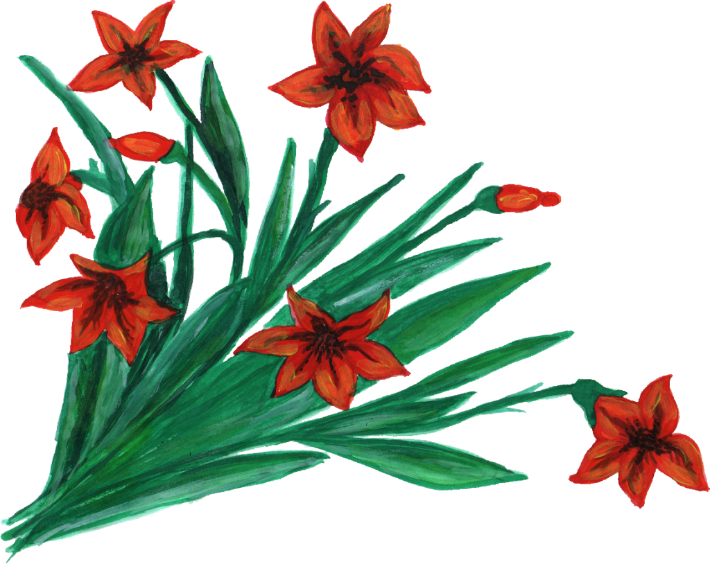 1163 × 925 Px - Lily (1024x814)