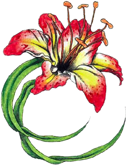 Tropical Flower Tattoos - Flower Tattoo Png Transparent (491x600)
