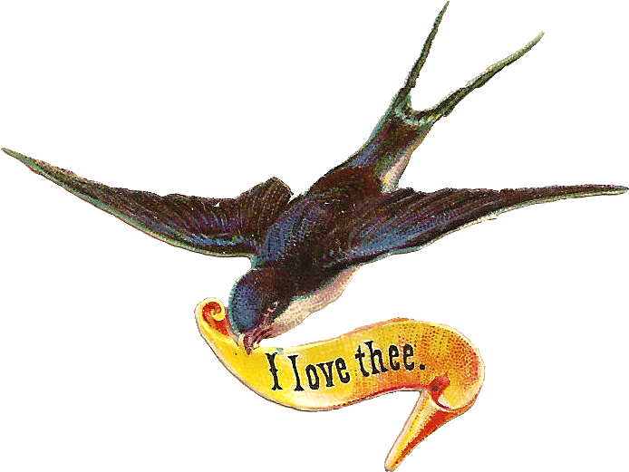 Bird Scrap I Love Thee Png - Antique Illustration Of Blue Bird (877x640)