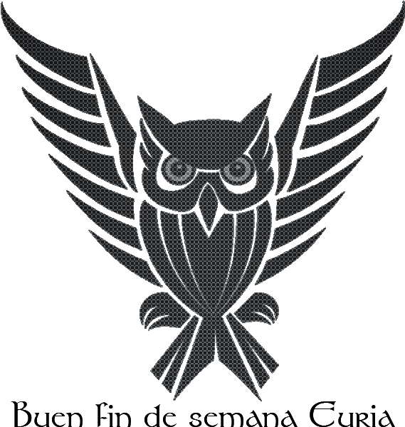 Owl, Tattoo, Search, Friends, Stop It, Passion, Owls, - Crossfit Hoogvliet (626x626)