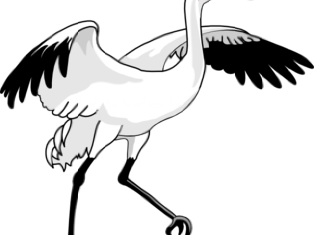 Swan Clipart Standing - Whooping Crane Clip Art (640x480)