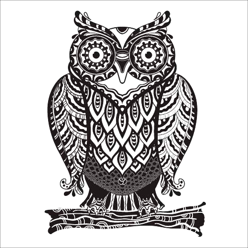 Owl Drawing Royalty-free Euclidean Vector - Vector Graphics (500x500)