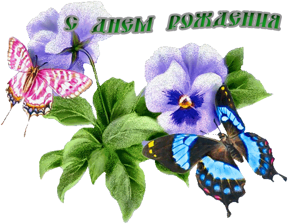 Http - //s003 - Radikal - - Stylish Butterfly (565x439)