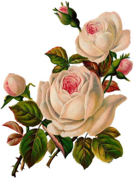 Clipart Flowers 26 Thousand - Vintage Flowers Png (444x592)