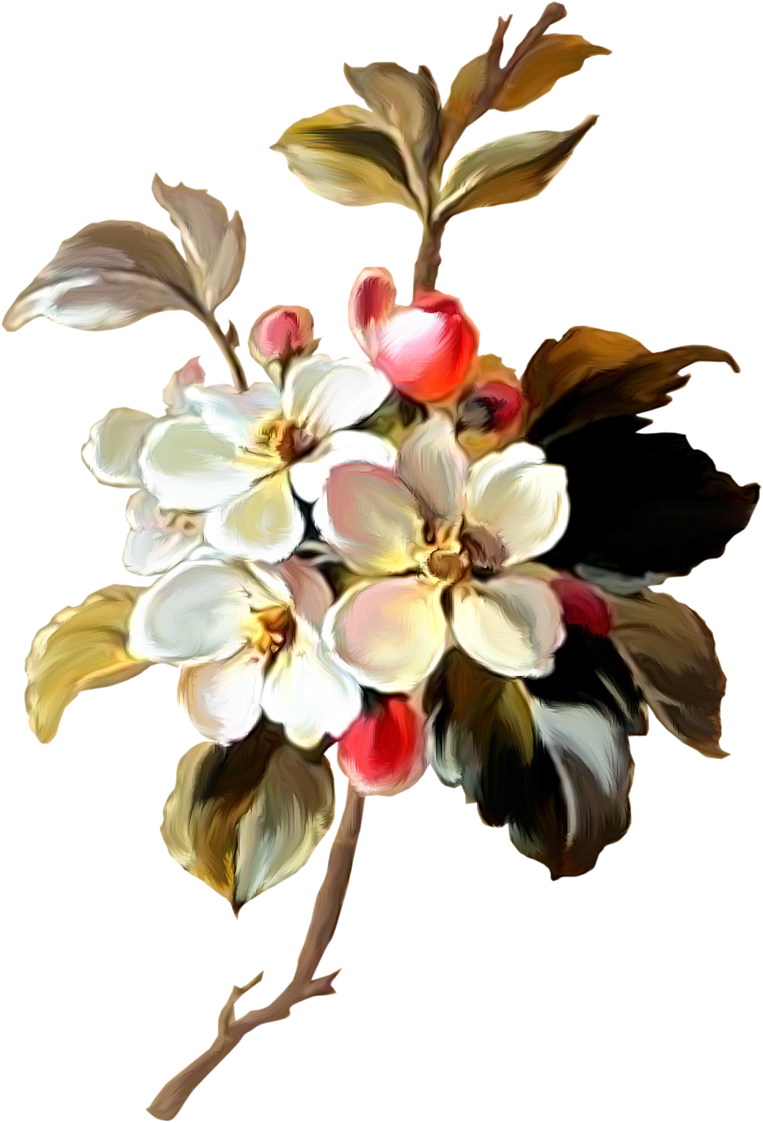 Drawing Clip Art - Vintage Flower Drawing (1088x1600)