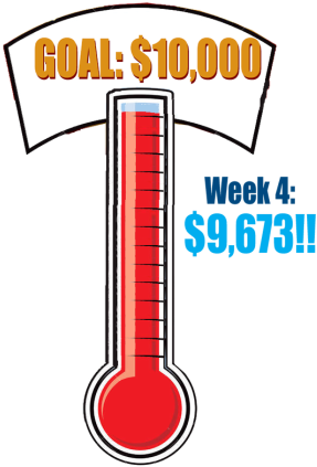 Thank You To All Of The Community Members, Teachers, - Orange (311x433)