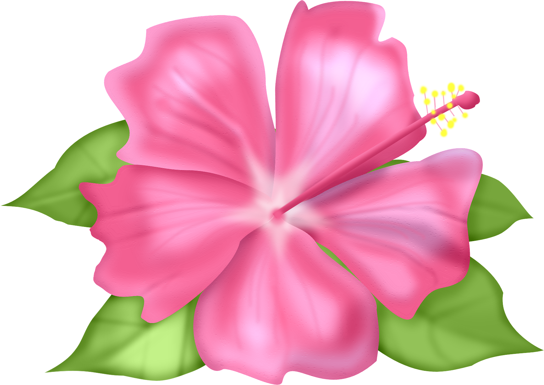 Března 2016 V - Picasa Web Albums (1956x1500)
