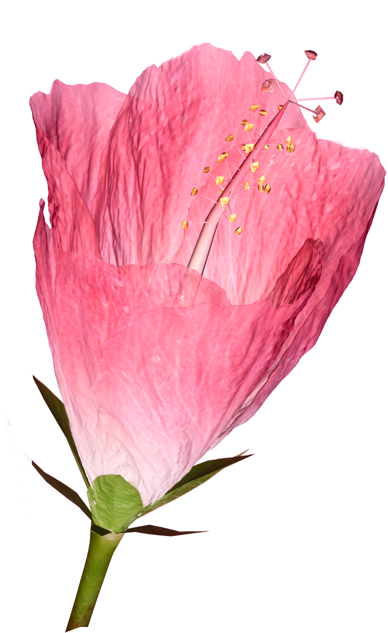 Posted By Todd A At - Portable Network Graphics (778x1271)