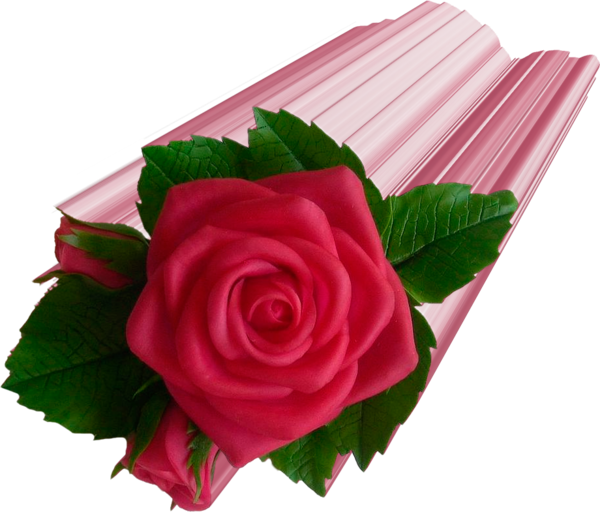 Red Roses Cluster - Garden Roses (600x512)