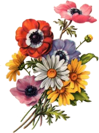 Barre De Separation Animée Automne (375x500)