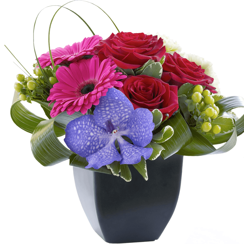 Gerbera And Vanda Orchid Arrangement - Png Orchid And Rose Arrangement (800x993)