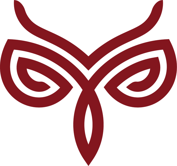 Software Designers & Developers, Giant Owl, Inc - Giant Owl, Inc. (700x653)