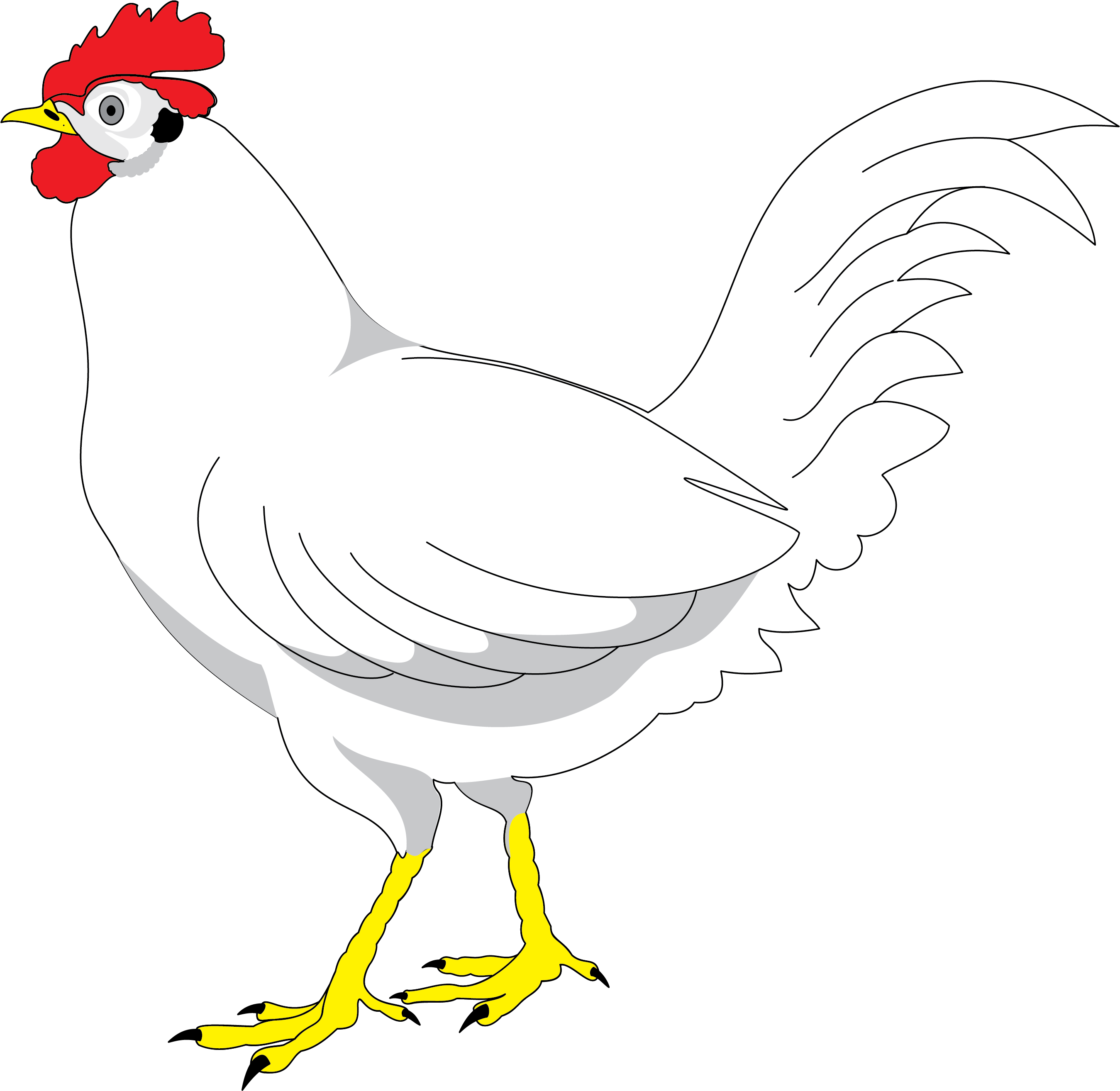 Plymouth Rock Chicken Drawing Animation - Rooster (2830x2683)