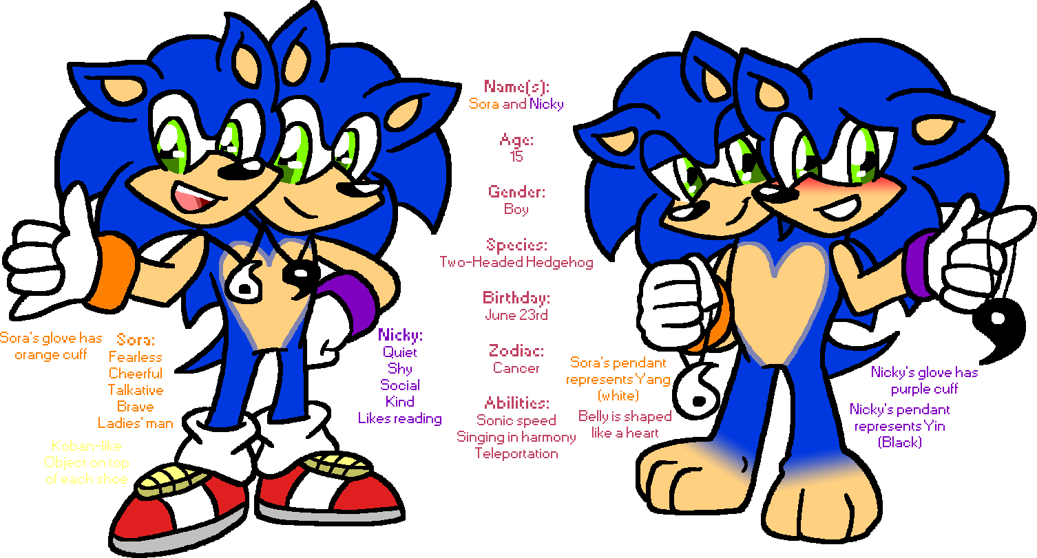 Sora And Nicky Ref '16 - Nicky Sonic The Hedgehog (1506x811)