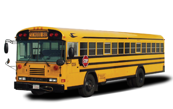 School Buses - School Bus Images Png (600x380)
