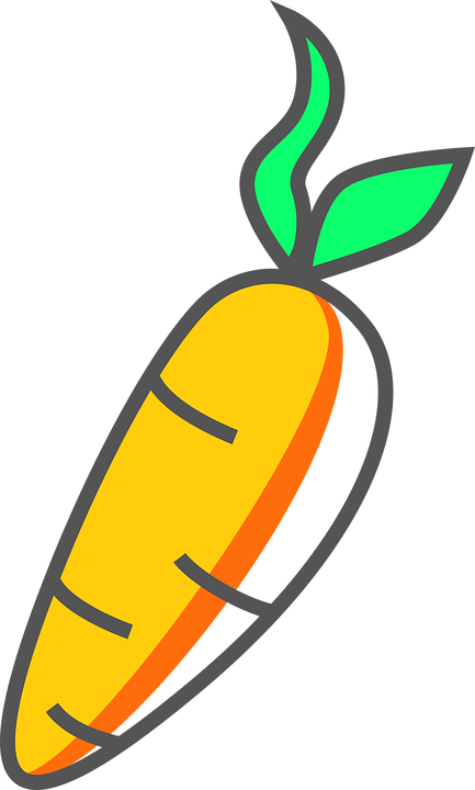 Ajos Qué Sembrar En Diciembre - Carrot Drawing (433x720)