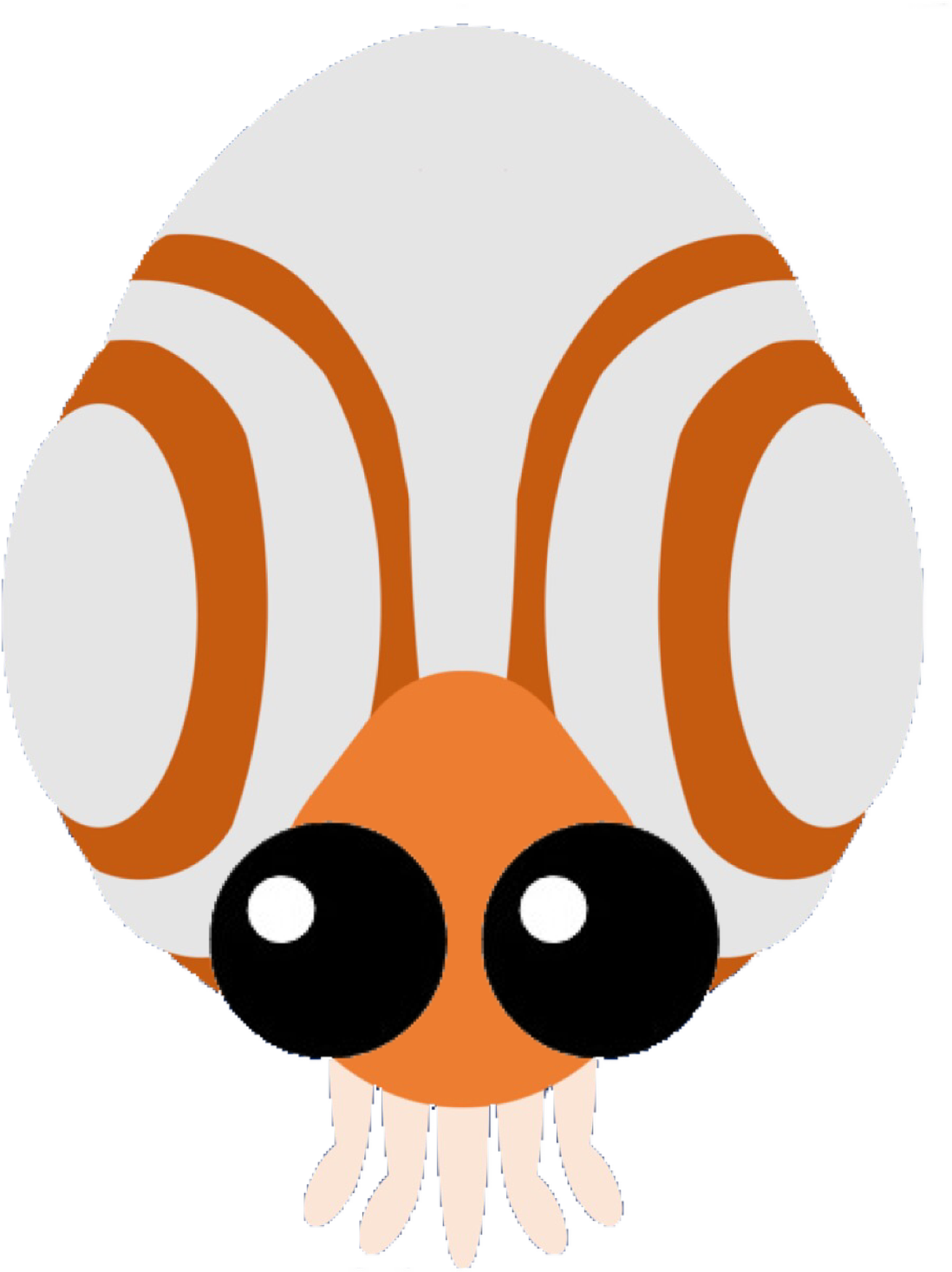 Nautilus - Cartoon (1518x1519)