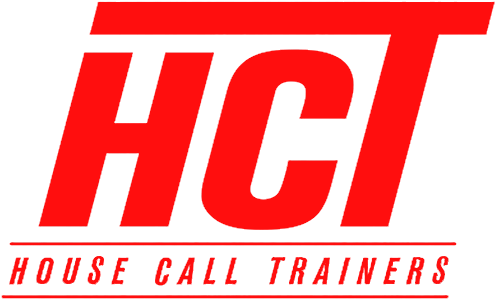 House Call Trainers - Exercise (551x346)