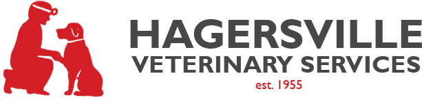 Logo For Hagersville, Ontario Veterinarian Animal Clinic - Emarketer Logo (650x211)