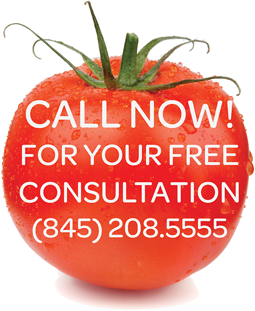 Take Your First Step Today - Cherry Tomatoes (600x644)