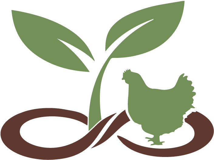 Shop - Project Main Street (717x564)