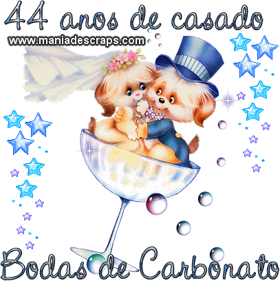Bodas 44 Anos De Casamento (407x408)