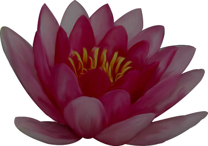 0 12326c 7e9ce5db Orig - Sacred Lotus (700x494)