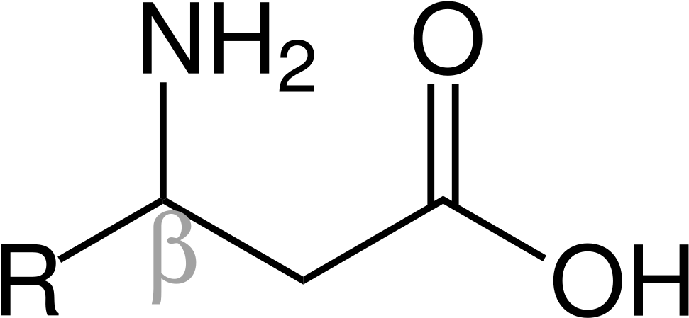 Beta-amino Acid Formula V2 - Amino Acid-based Formula (1024x487)