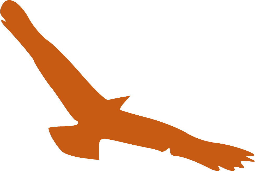 Air Transport Is Fluctuate, We At Africa & More Are - Africa (978x655)